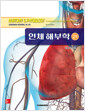 인체 해부학    